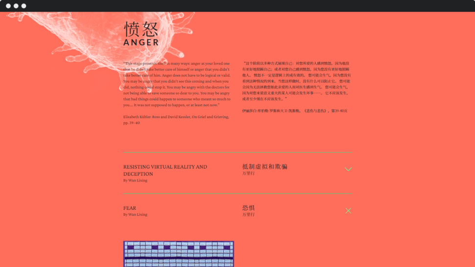 DABDA anger section of Finding Meaning.