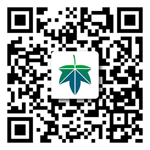 QR code for Maples Design WeChat account.